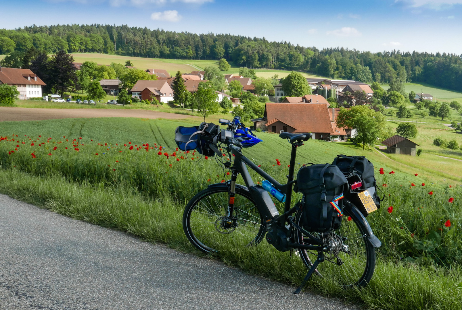 Delite-am-Eschenmosen